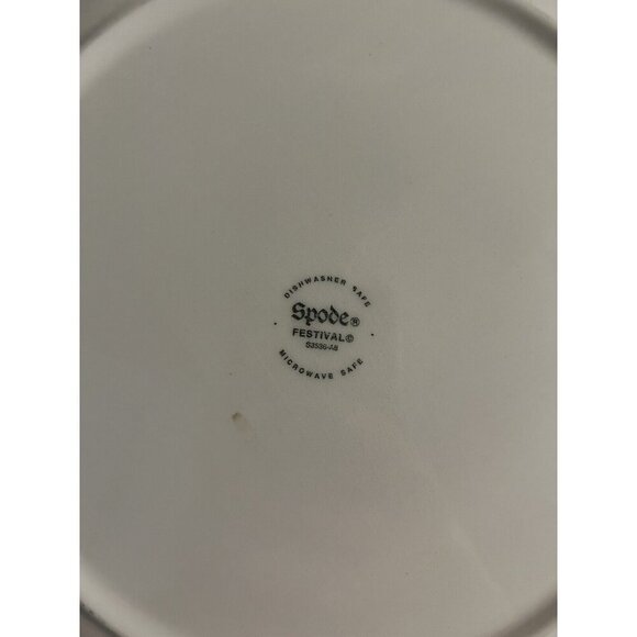 Set Of 2 Spode Festival Turkey 10” Shallow Serving Bowls Pasta Bowls - Picture 7 of 9